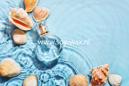 Bali-Ocean-Moment-parfum-geurolie-voor-Melts-Kaarsen