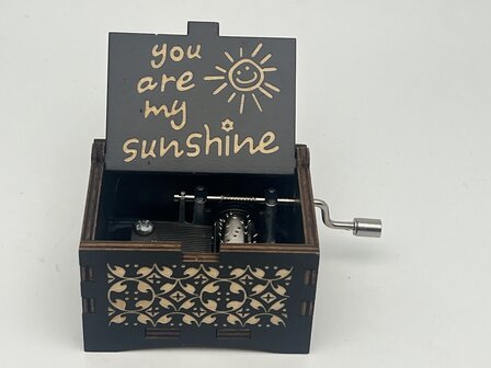 You-Are-My-Sunshine-geurolie-voor-Melts-kaarsen