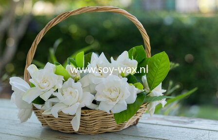 Spring-Gardenia-Moment-parfum-geurolie-voor-Kaarsen-Melts